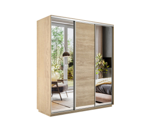 Шкаф-купе Экспресс Медиум (2 зеркала) трио 2200 x 1800 x 600